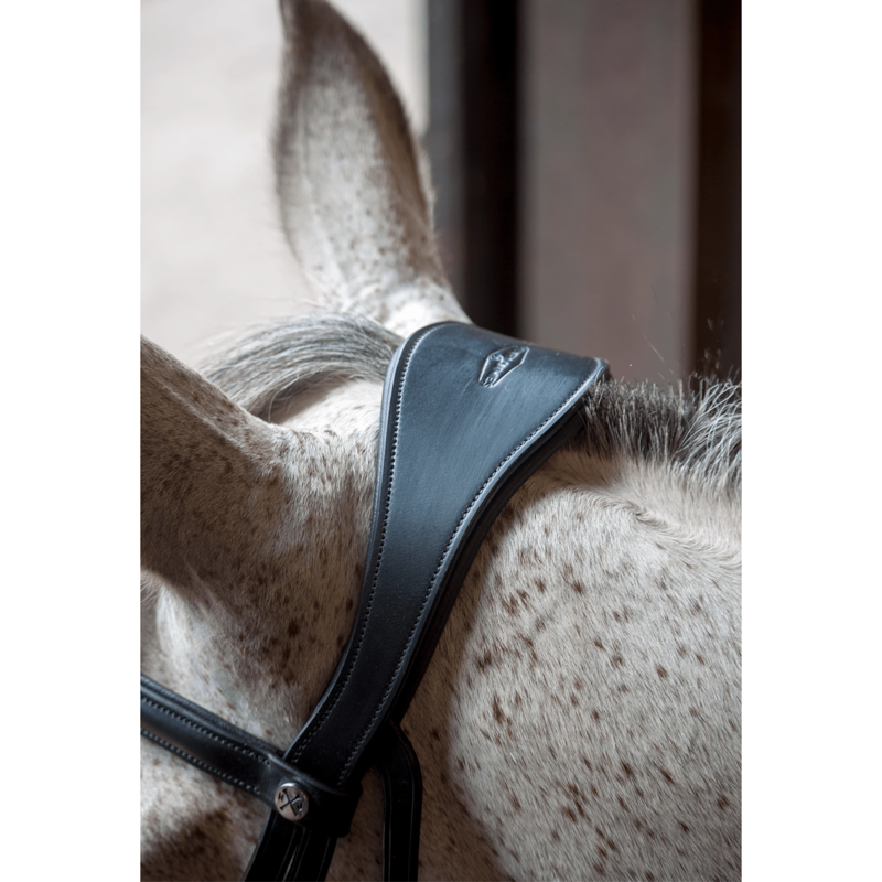 Henry James Dressage Bridle - Black-4